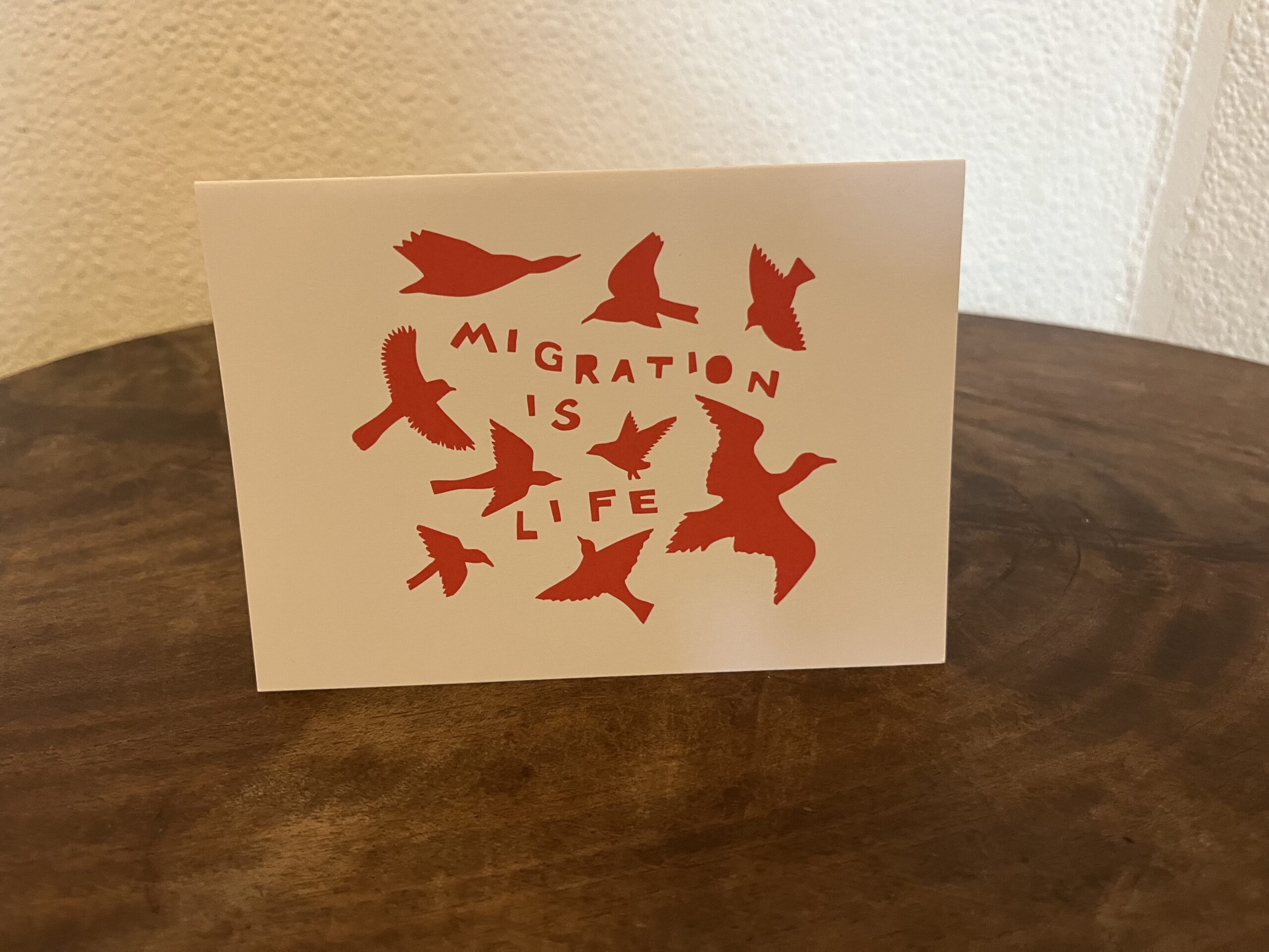 Christmas Greeting Cards: Migration Is Life