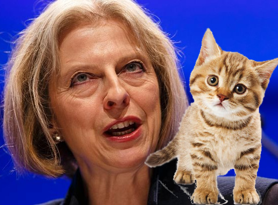 Theresa May and a kitten