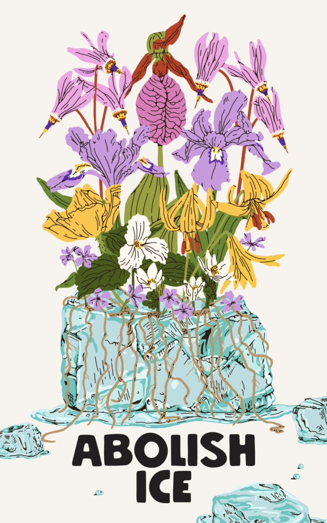 Image Description: A colorful digital illustration depicting spring ephemeral flowers native to Turtle Island: Shooting Star, Bloodroot, Yellow Trout Lily, Jack-in-the-Pulpit, Large-Flowered Trillium, Wood Poppy, Wild Blue Phlox, and Blue Flag Iris spread their roots to melt a block of ice. In the foreground are smaller pieces of broken and melting ice. Large block text at the bottom reads “ABOLISH ICE”.